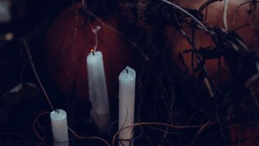 The Secret to Healing What Pains You