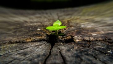 Spiritual Evolution: True or Not?