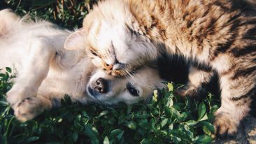 Let Love Stand By You in Your Hour of Need