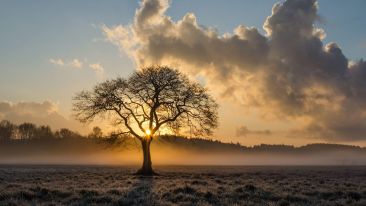 Learn Where to Look for the Extraordinary Life