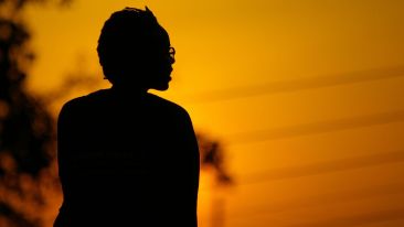 Let Real Light Into Your Life