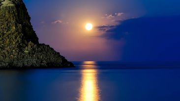 Reap the Benefits of Being a Lover of Truth