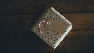 Reclaim the Gift That Releases You From Fear