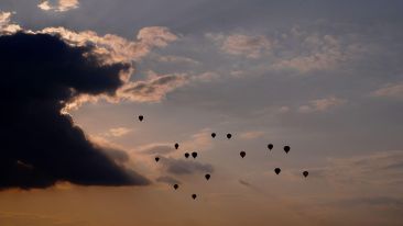 The Courage to Be Free
