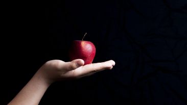The Truth About Temptation: A Short Lesson on the Lord's Prayer