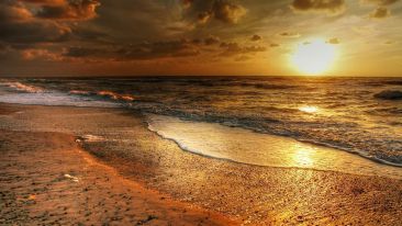 Participate in the Fulfillment of Real Life