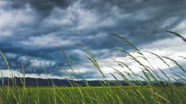 Stop Fighting Confusion and Stormy Emotions
