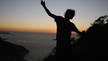 Free Yourself From the Pain of False Purposes