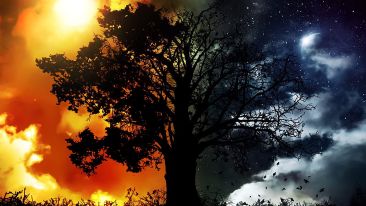 The Courage to Be Free of Negative States