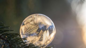 The Secret to Transcending Limitations