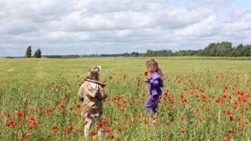 The Hope and Promise of Timeless Ideas