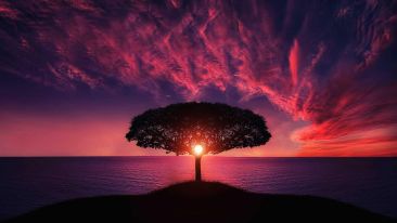 Unmask the Hidden Power of All Negative States
