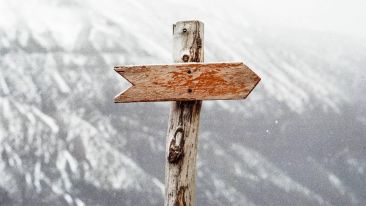Choose the Path of Freedom