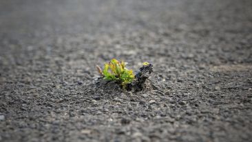 Break Through Inner Barriers