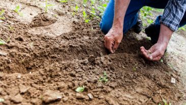 Working in the Garden of the Soul