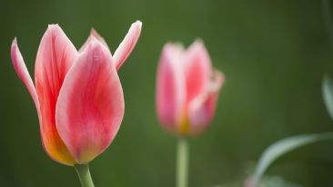 Stop Wasting Life's Two Greatest Gifts