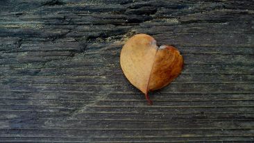 Only a First Love Can Set You Free