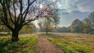 Let Go of Your Mistaken Identity