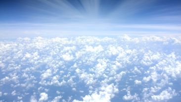 The Flight of Freedom