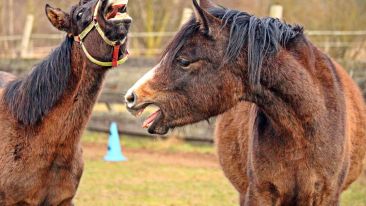 See The Blindness of Ever Feeling Superior Toward Another