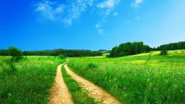 The Plan and the Path to Life Everlasting