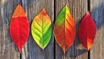 You Don't Have to Fear Changes If You Change With Them