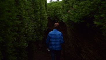 Walk Safely Out of the Labyrinth Called Your 