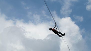 No Risk, No New Understanding