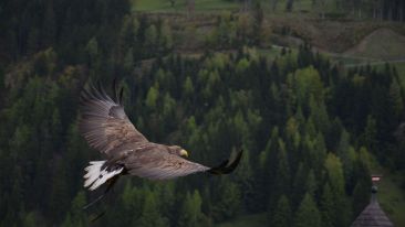 Four Facts to Help Liberate You From the Lie of Fear