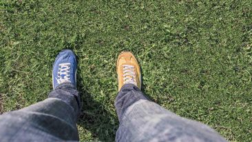 Journey to the Self Beyond Comparison