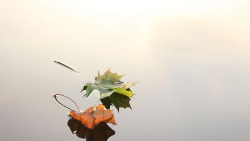 The Path to Perfect Silence
