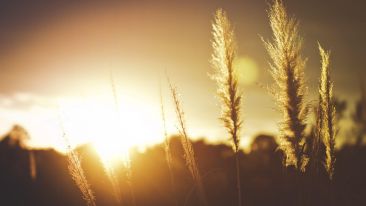 Let Self-Knowledge Light the Way