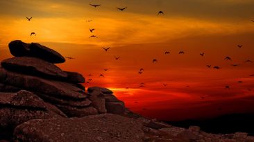 Climb Up to True Independence