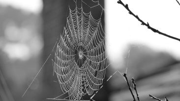 Awaken True Spiritual Sensitivity by Learning What it Means to 