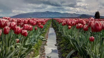 The Lost Secret of Making a Fresh Start in Life