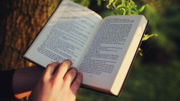 Advanced Studies in Ending the Ache of Ambition