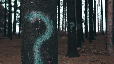 The Path of Uncertainty