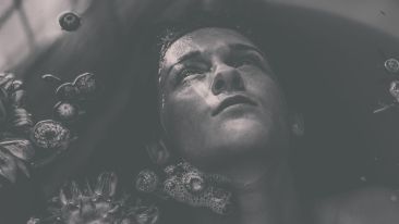 The Truth That Sets You Free Begins With You Being Able to See It (Excerpt)