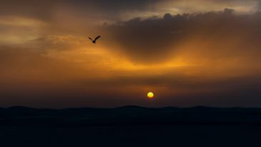 Turn Limitation Into Liberation