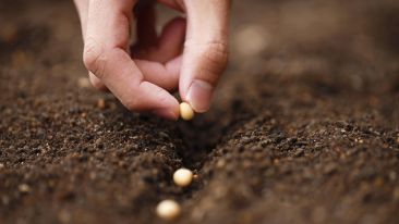 Seeds of the Soul Interview with Guy Finley and Rob Spears
