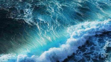 Come Out from the Sea of Thoughts and Breathe in Real Life