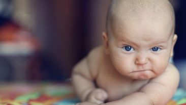 Familiarity Breeds Contempt