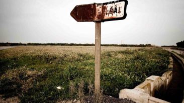 Find Freedom from Self-Induced Dark Dreams