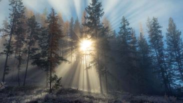 Rise Above Your Reactions to Unwanted Experiences
