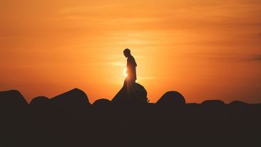 Online Study Group Meeting for Monday (05/25/2026)