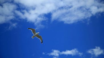 Online Study Group Meeting for Monday (06/30/2025)