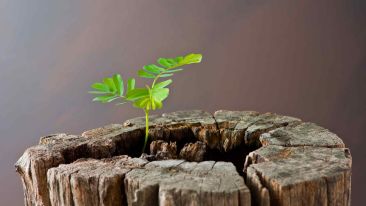 Spiritual Facts for a Fresh Start in Life