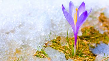 Fulfillment of the Soul Through Faith