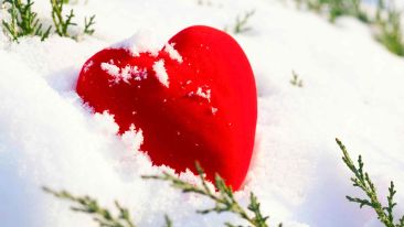 How to Heal a Broken Heart