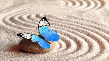 The Unassailable Kingdom of a Quiet Mind